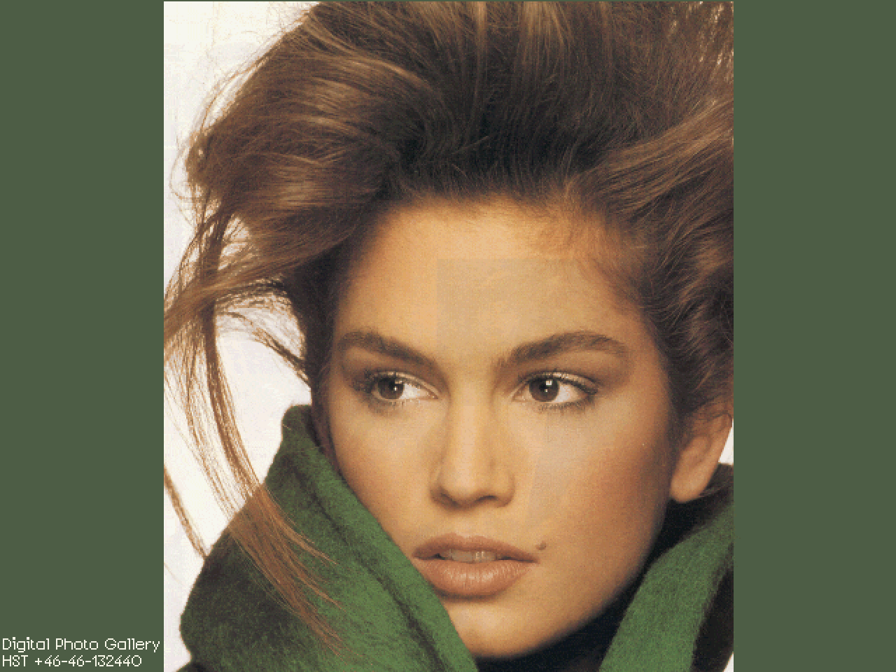 Apex Image Viewers atari screenshot